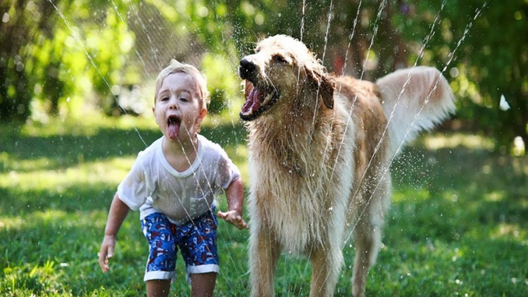 Cane e bambino: 7 semplici regole per una convivenza sicura