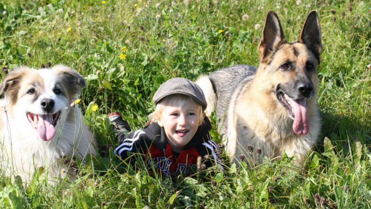 Cani e bambini: per crescere bene insieme